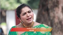 Varisu (Zee Tamil) S01 E173 20th January 2026