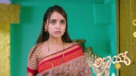 Annayya (Zee Kannada) S01 E381 21st January 2026