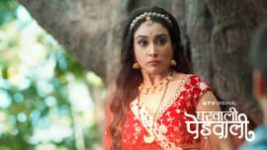 Gharwali Pedwali S01 E04 12th December 2025
