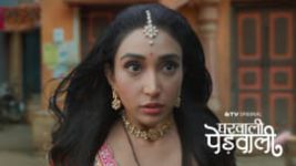 Gharwali Pedwali S01 E08 19th December 2025