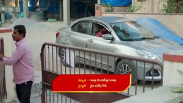 Gunde Ninda Gudi Gantalu S01 E597 Balu, Meena's Conflict