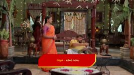 Illu Illalu Pillalu (Star Maa) S01 E376 Bhadravati, Vishwa's Conspiracy