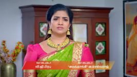 Karthigai Deepam S01 E1096 20th January 2026