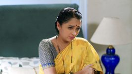 Lagnanantar Hoilach Prem S01 E384 Will Manini's Dream Come True?