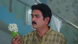 Ninnu Kori (Star Maa) S01 E518 Shalini's Wicked Plan