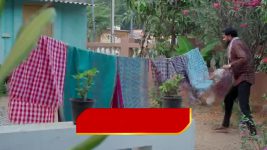 Nuvvu Leka Nenu Lenu S01 E29 Rama Chandra's Family Rejoices