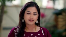 Paape Maa Jeevana Jyothi S01 E1463 Simhadri, Padma's Concern for Kutti