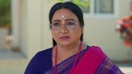 Padamati Sandhyaragam S01 E1079 30th January 2026