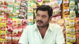 Pandian Stores S01E317 Kathir, Mulla's Budding Love Full Episode