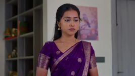 Podarillu S01 E22 Chakri's Helping Hand