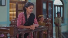 Salangai Oli (Zee Tamil) S01 E276 23rd January 2026