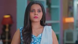 Salangai Oli (Zee Tamil) S01 E278 24th January 2026