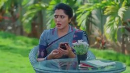Salangai Oli (Zee Tamil) S01 E280 26th January 2026