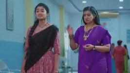 Salangai Oli (Zee Tamil) S01 E281 26th January 2026