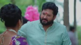 Salangai Oli (Zee Tamil) S01 E285 28th January 2026