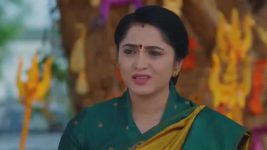 Salangai Oli (Zee Tamil) S01 E286 29th January 2026