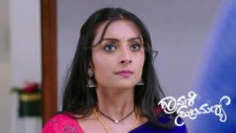 Shravani Subramanya S01 E505 21st January 2026