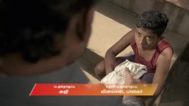 Chinnan Siru Kiliye S01 E146 9th February 2026