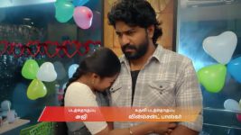 Chinnan Siru Kiliye S01 E156 23rd February 2026