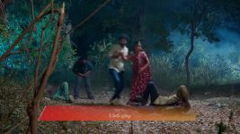 Dheerga Sumangli Bhava (Zee Telugu) S01 E263 6th February 2026