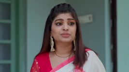 Ennallo Vechina Hrudayam (Zee telugu) S01 E333 19th February 2026