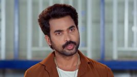 Gharana Mogudu (Zee Telugu) S01 E239 17th February 2026