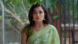 Gharana Mogudu (Zee Telugu) S01 E245 24th February 2026