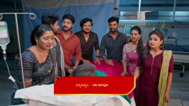 Illu Illalu Pillalu (Star Maa) S01 E389 Tirupati Fumes at Vishwa