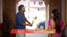 Karthigai Deepam S01 E1125 17th February 2026