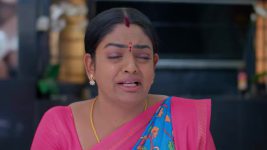 Karthika Deepam S02 E602 Das Deceives Parijatham