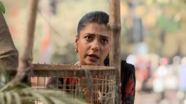 Lokkhi Jhanpi (Star Jalsha) S01 E203 Dip Praises Jhnapi