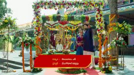 Malli Nindu Jabili S01 E1178 Sidhu, Mallika Tie the Knot