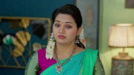 Malli Nindu Jabili S01 E1197 Siri Warns Mallika