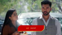 Paape Maa Jeevana Jyothi S01 E1479 Simhadri, Padma Urge Kutti