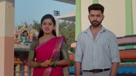 Paape Maa Jeevana Jyothi S01 E1498 Simhadri, Padma Are Optimistic
