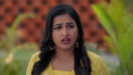 Paape Maa Jeevana Jyothi S01 E1502 Kutti, Aditya Face Trouble