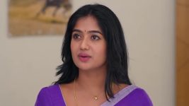 Padamati Sandhyaragam S01 E1091 13th February 2026