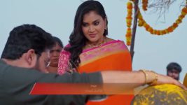 Padamati Sandhyaragam S01 E1096 19th February 2026