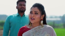 Padamati Sandhyaragam S01 E1097 20th February 2026