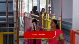 Vaarasuralu (Star Maa) S01 E22 Kailashnath Learns the Truth