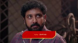 Chinni (Star Maa) S01 E505 Nagavalli Foils Tilak's Plan