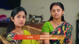 Gattimelam S01 E310 3rd February 2026