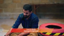 Gattimelam S01 E316 10th February 2026