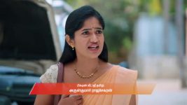 Gattimelam S01 E317 11th February 2026