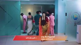 Gattimelam S01 E326 21st February 2026