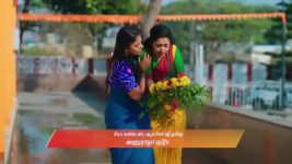 Gattimelam S01 E327 23rd February 2026