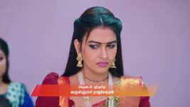 Gattimelam S01 E328 24th February 2026