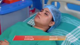 Karthigai Deepam S01 E1133 26th February 2026