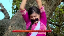 Kusum (Zee Bangla) S01 E243 1st February 2026