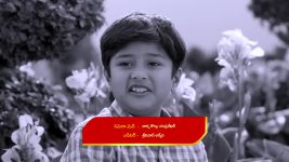 Nuvvu Leka Nenu Lenu S01 E35 Radha, Priya's Conflict